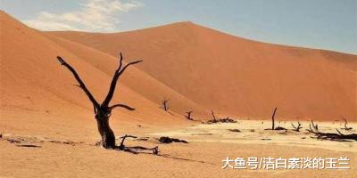 世界上生命力最顽强的鱼，生活在沙漠5万年，至今没有灭亡！