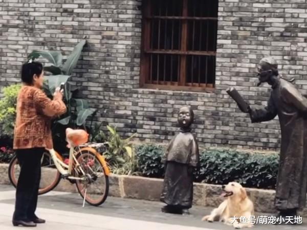 奶奶逛街忙取景, 汪汪走去躺好还摆专业姿势, 祖孙默契十足