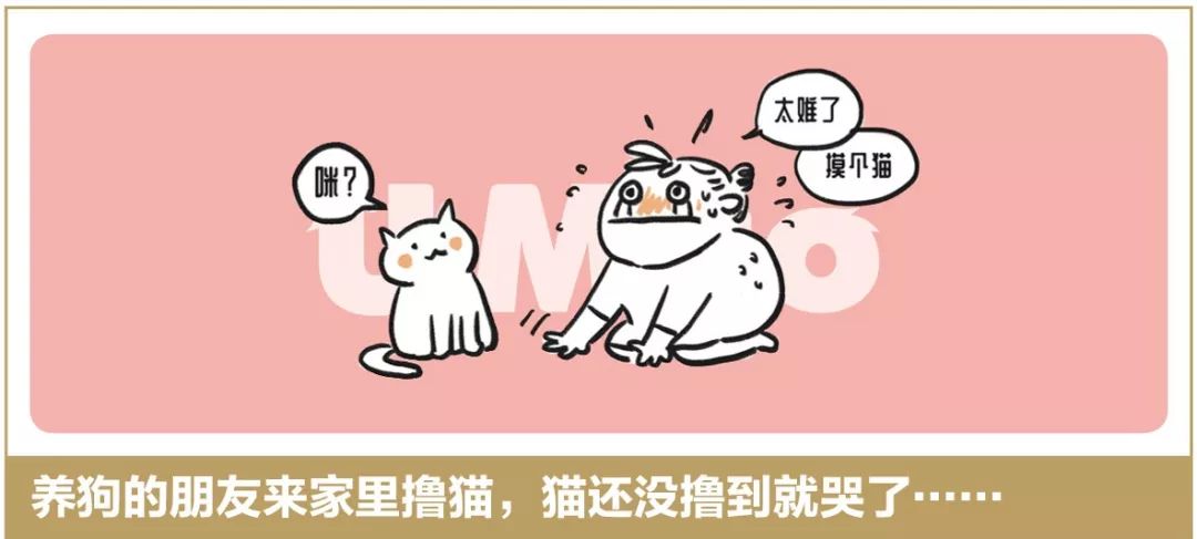当喵主子一本正经滴邀你舔菊时，怎么回应才算优秀？