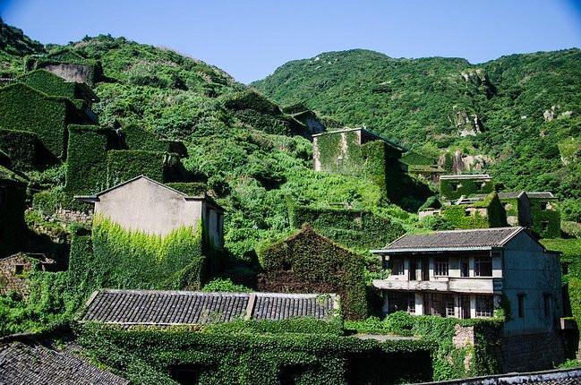 来枸杞岛, 以观沧海