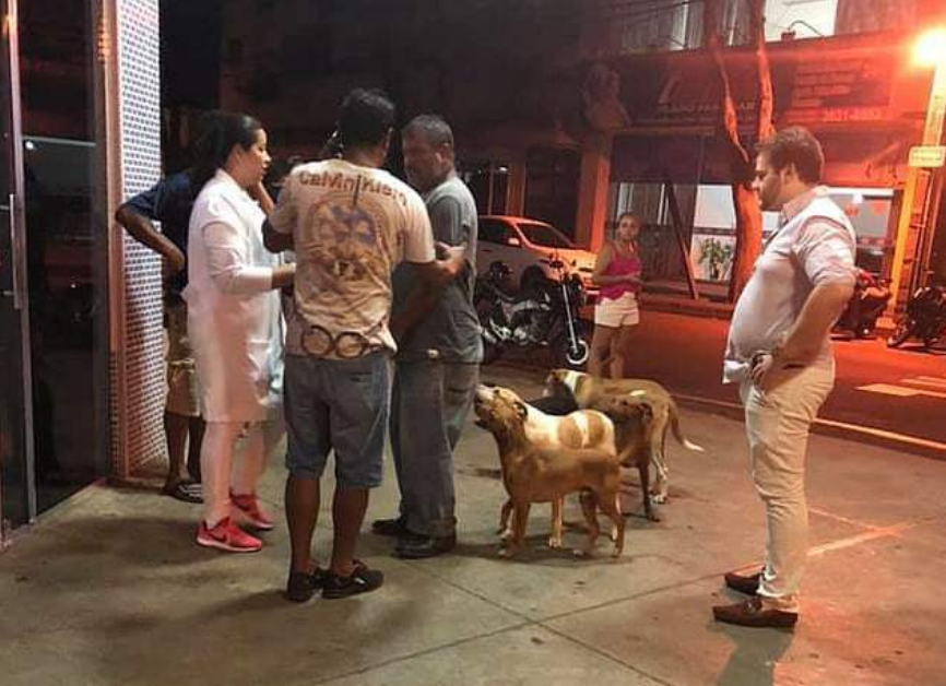 狗不嫌家贫！流浪汉收养6只狗，当他住院时狗狗们的行为令人感动