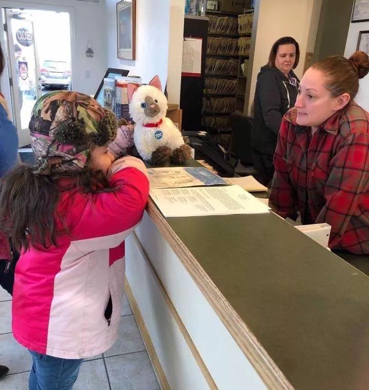 獸醫接診的這位奇特病人，居然是一只毛絨玩具貓咪