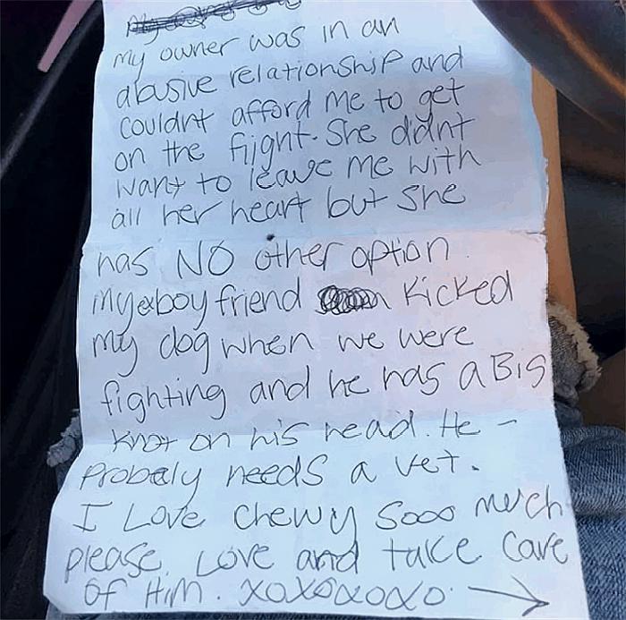 小狗狗遭遗弃，她说是为了保护它，原因让人既悲愤又感动