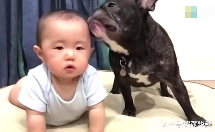狗狗追着小宝宝亲都把他惹怒了，接下来宝宝的举动太搞笑了！
