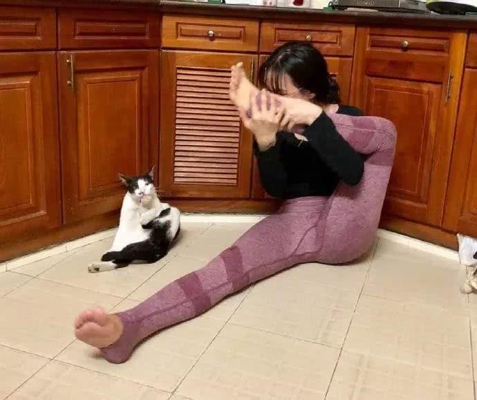 猫在舔毛，女主看到后学着它的样子做瑜伽，猫都看懵了