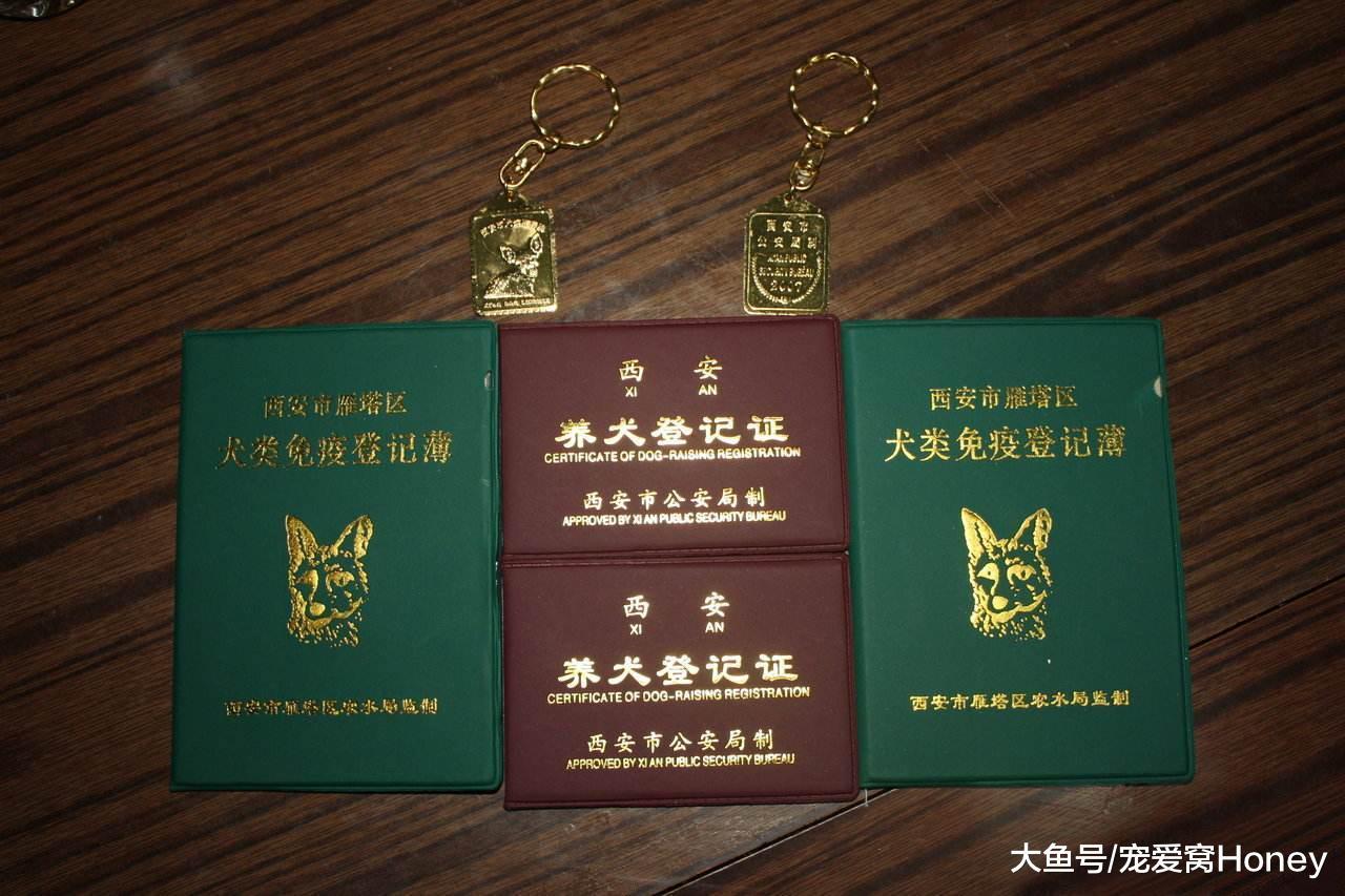 養狗這三個常識你都知道嗎？可以少走些彎路！