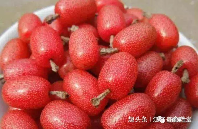女性常吃此果，调经活血，排除湿气，子宫越来越有弹性，不妨试试