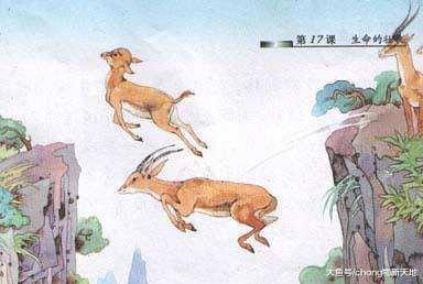 6只羚羊飞跃悬崖, 从头羊到小羊有条不紊, 网友: 原来书上是真的