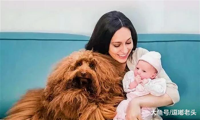 有了狗狗带娃，妈妈晚上可以安安心心的睡觉了