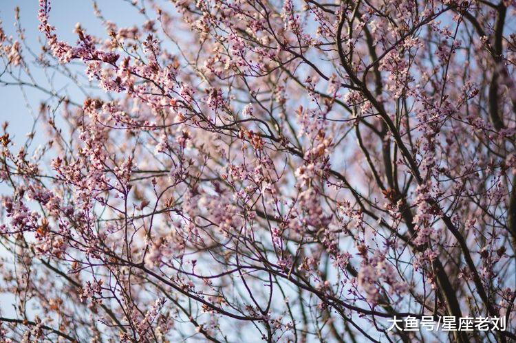 财路大开赚到千万！10月下旬，3个生肖运程大旺，人生幸运满满