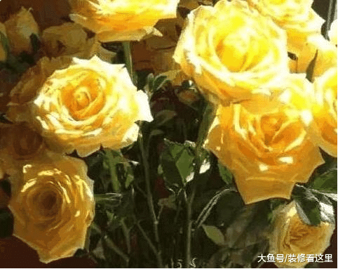 演員車曉現實的豪宅，平時在家還練毛筆字，這浴室也太大了吧