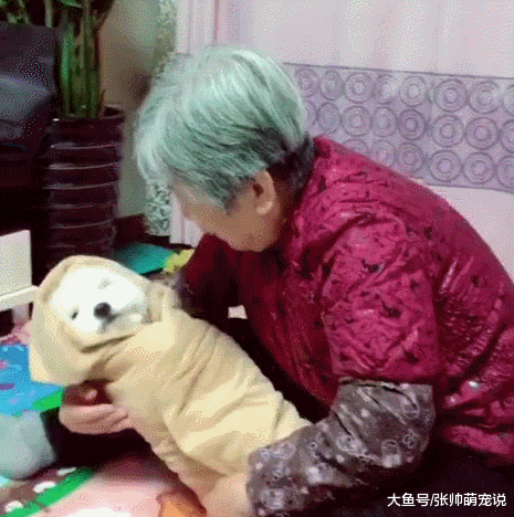 男子下班回到家，母亲却抱着狗狗，看到她的笑容男子忍不住落泪！