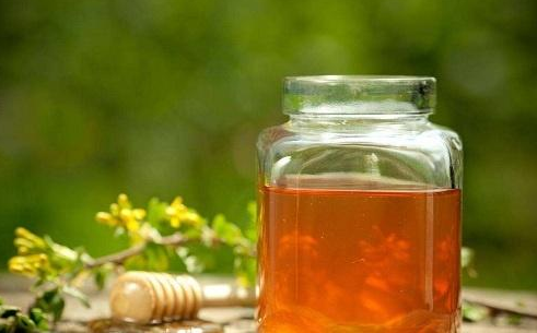 布偶猫扎完妙三多疫苗不爱吃饭咋办