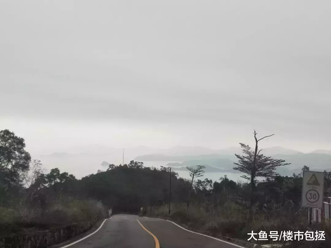 太虐心! 深圳这个顶级豪宅区10年不涨, 草比人高, 业主亏本大甩卖