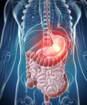 肝脏■人体有哪些器官可以直接拿掉，同时不影响生存？看完涨知识