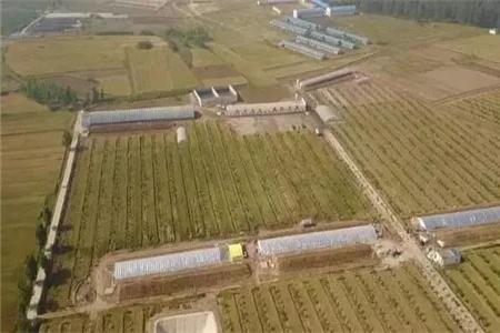 在田里建房子会被拆吗? 什么情况下耕地可以建房?