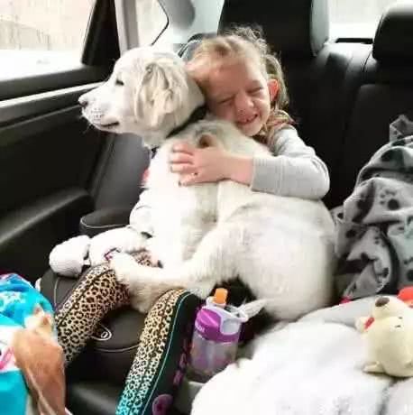 独臂女孩遇到少了一条腿的狗狗，就让我们做彼此的天使