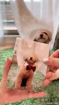 不是说建国之后动物不可以成精的吗？