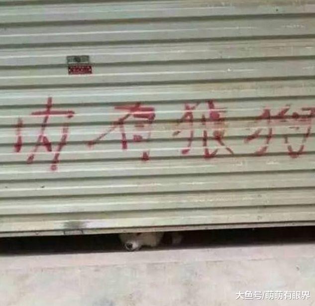 门上写着“内有狼狗”，定睛一看，出来个什么玩意儿！你们忍住别笑！