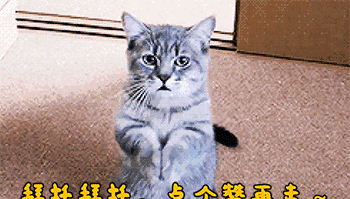 专家：这些年房价给你带来了什么？大快人心！终于有人说了大实话