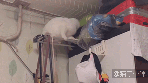 老师发的文件需要家长的签名，然后……