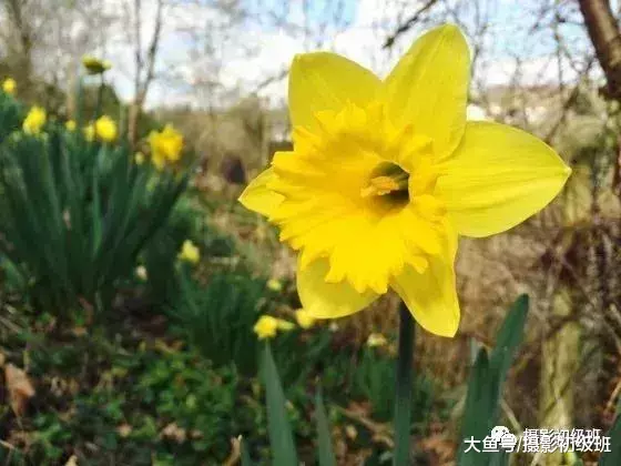 8个容易被忽视的手机摄影技巧