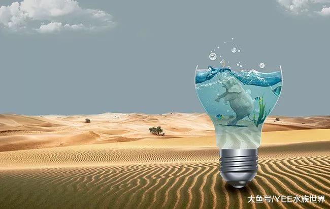 “死亡谷”沙漠里活了5萬年的魚，即使生死由天，也拼命的活下來