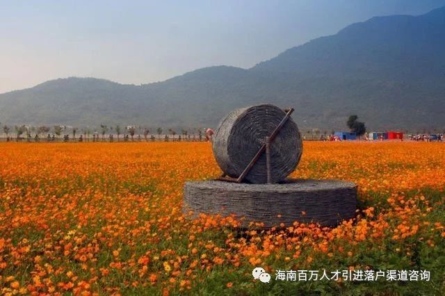 海南这4个地方的美景“有毒”，去一次就会上瘾