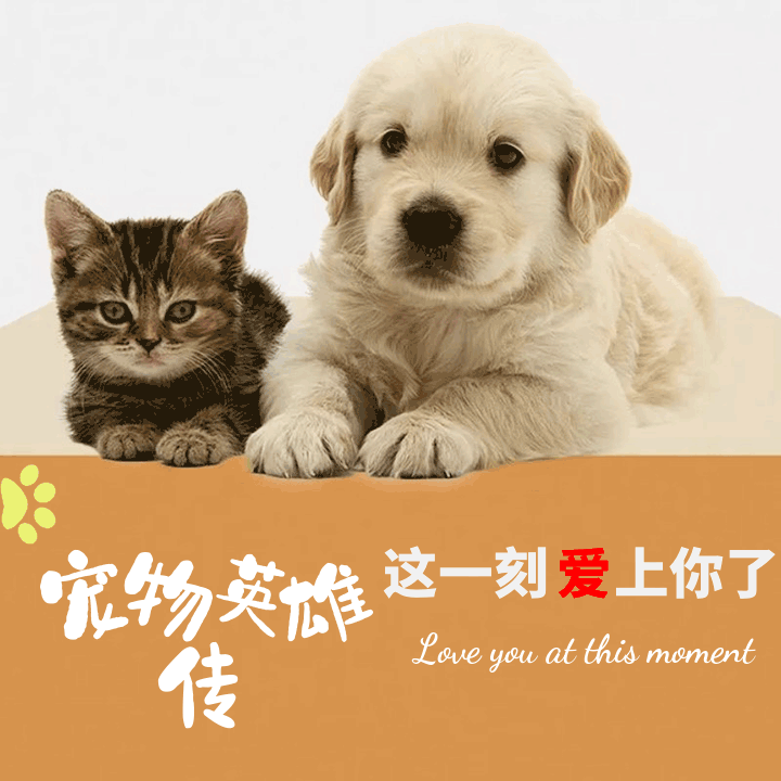 为了拯救自己的孩子，猫妈妈紧紧咬着好心人裤腿，不让他离开