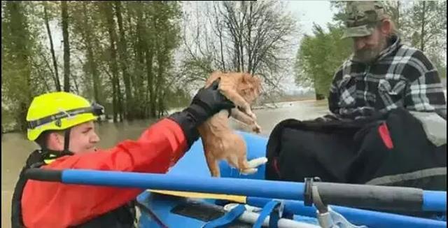 都吹国外的消防员对动物多好，中国的也不差，保护生命不分国界！