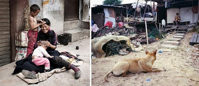 为什么说狗不嫌家贫？也许这就是土狗最好的证明吧