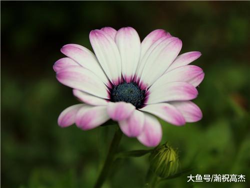 表面淑女，实际渣女，常有这3个特征