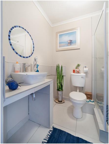 选方便卫生的蹲便器或选时尚美观的马桶？看完这篇后，你说了算！