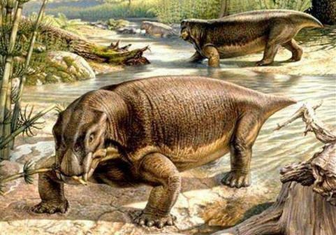 盘点全球最恐怖的生物，凶狠毒辣，最后一个恐龙见了都害怕！