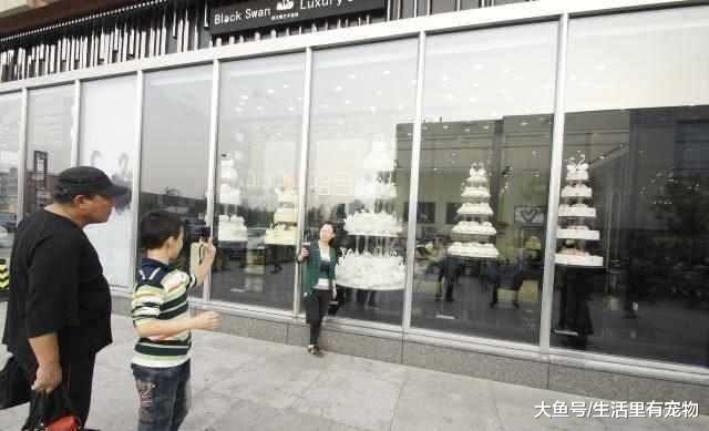 價值200萬的蛋糕，開勞斯萊斯送貨上門，推出一年沒有人買！