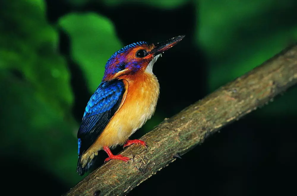 城里的候鸟，是你是我也是他