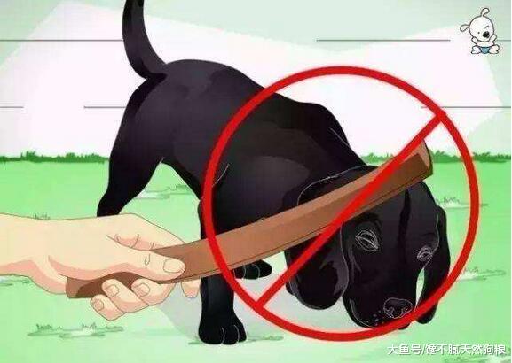 主人的这几种行为，对拉布拉多犬来说，简直是酷刑
