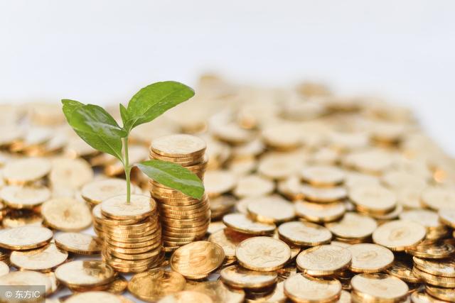 发财树在家这样摆，才能旺财旺宅，一旺旺10年，有钱人都这样摆！