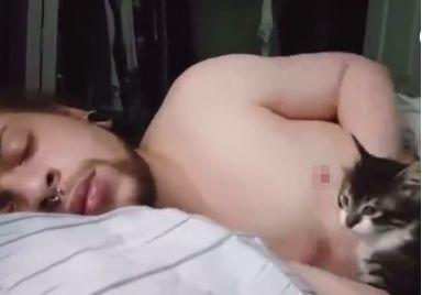 猫咪见男主人睡着后，一口吸上ru头，网友：男人还是不能养猫！