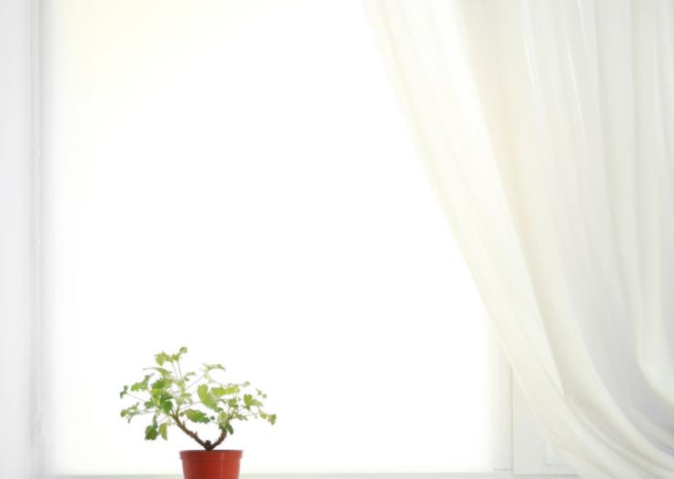 新房通风半年就入住？小心身体出问题！专业除甲醛还得这几招！