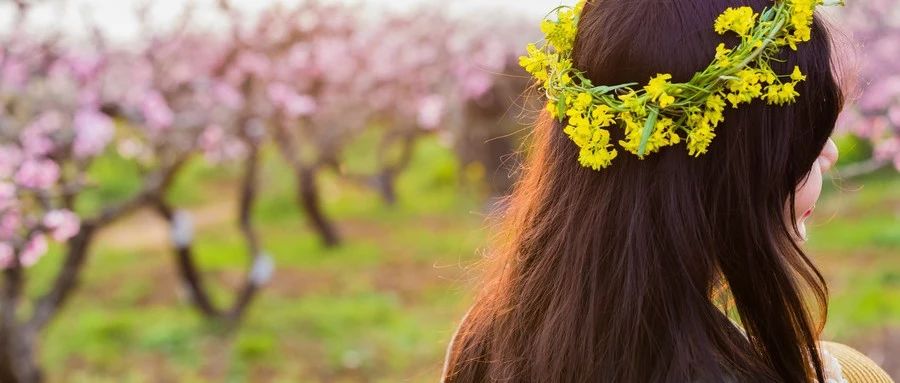 摄影技巧：三月初春，桃花盛开，怎么拍出好看桃花照片呢？