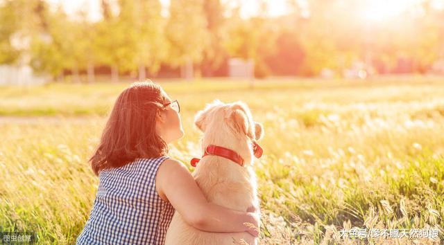 铲屎官别犯这些错误，就能让狗狗多活个两三年，陪你走更长的路