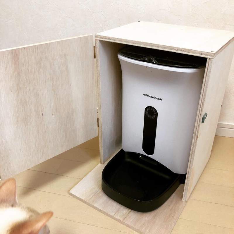 猫咪与自动喂食器的战争，猫：怎么还不出食物呢？挠挠挠