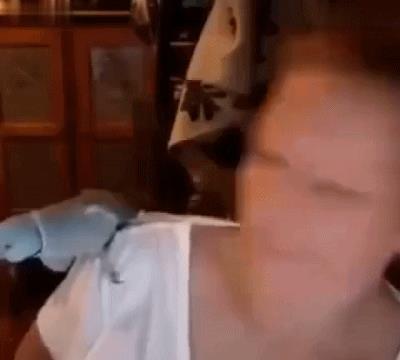 动图GIF：不是说建国后就允许成精吗（1）村里的大鹅从夜店回来后