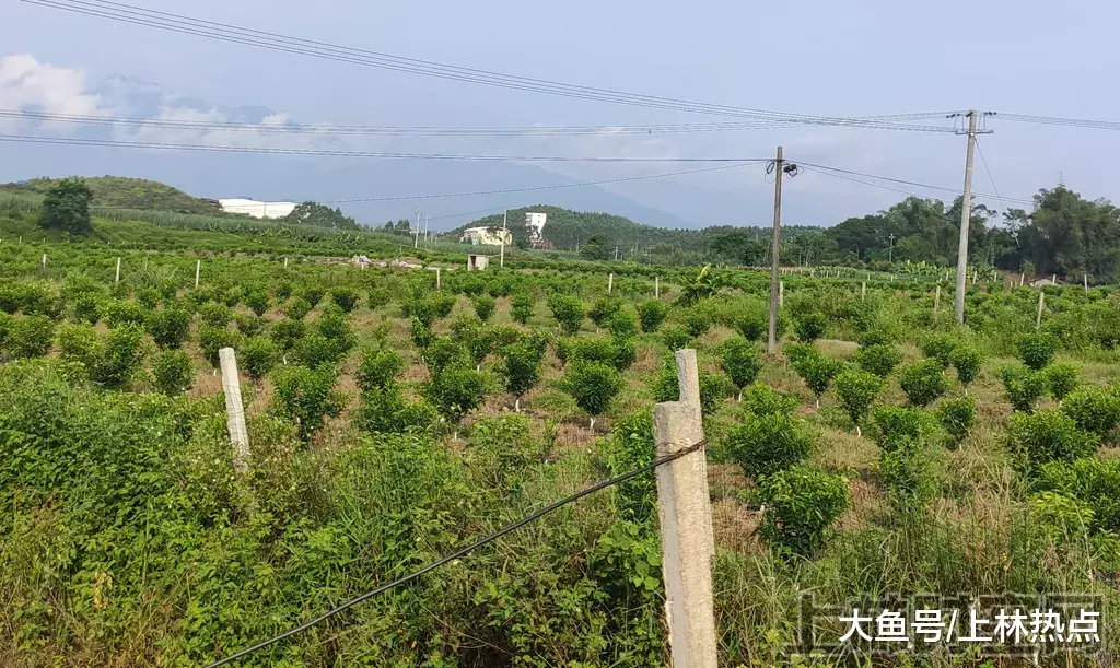 房价破5字头！上林人太难了