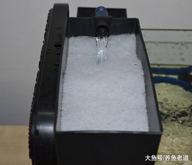 觀賞魚的生化過濾系統是否會有物理過濾的作用，這只是猜測！