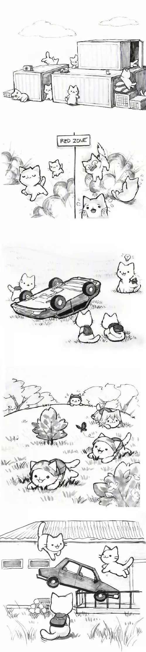 今晚主人不在家，本喵寂寞了，神兵天降gogogo！