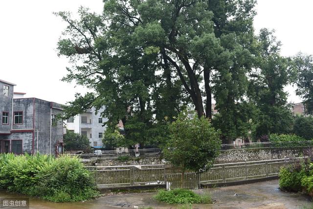 买一期房和二期房没什么不同？区别大了去了，房友：知道晚了