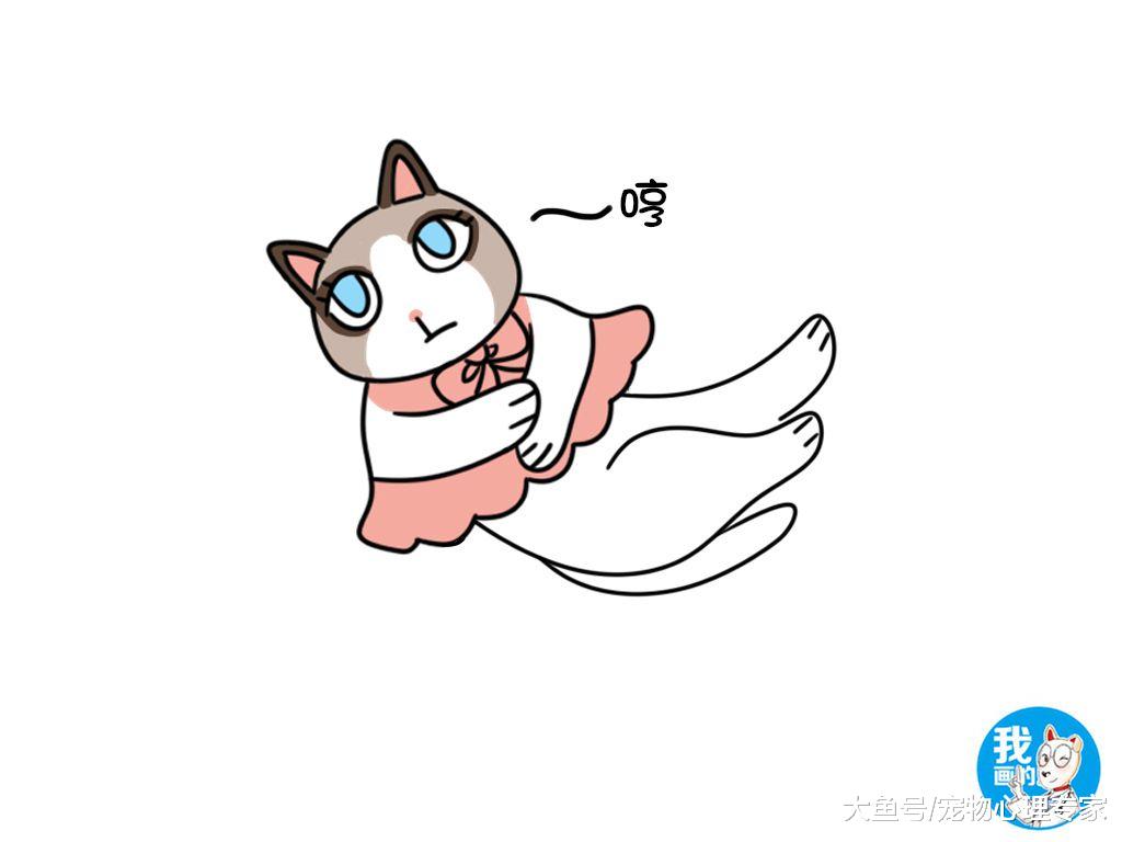 辟谣：不花钱就治好便秘的民间偏方对猫咪真有神效？莫吹彩虹屁了