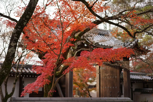 世界上“最缺水”的国家，一盆水要洗一周的衣服，生活现状令人心酸